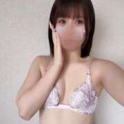 ヒメ日記 2025/04/15 18:20 投稿 あおい【高山出発】 Cat's高山店