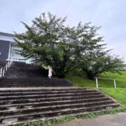 ヒメ日記 2025/04/21 13:30 投稿 あおい【高山出発】 Cat's高山店