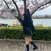 ヒメ日記 2025/04/28 13:20 投稿 あおい【高山出発】 Cat's高山店