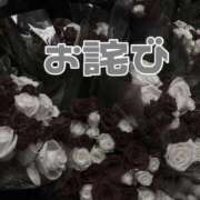 ヒメ日記 2025/05/08 11:40 投稿 あおい【高山出発】 Cat's高山店