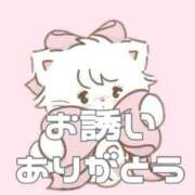 ヒメ日記 2025/05/12 15:30 投稿 あおい【高山出発】 Cat's高山店