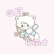 ヒメ日記 2025/05/13 16:20 投稿 あおい【高山出発】 Cat's高山店