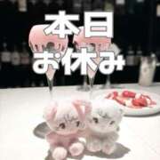 ヒメ日記 2025/05/19 08:50 投稿 あおい【高山出発】 Cat's高山店