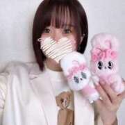 ヒメ日記 2025/05/20 15:20 投稿 あおい【高山出発】 Cat's高山店