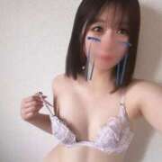 ヒメ日記 2025/05/20 17:00 投稿 あおい【高山出発】 Cat's高山店