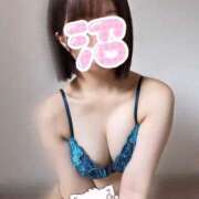 ヒメ日記 2025/05/26 15:40 投稿 あおい【高山出発】 Cat's高山店