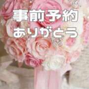 ヒメ日記 2025/05/27 12:00 投稿 あおい【高山出発】 Cat's高山店