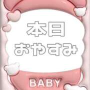 ヒメ日記 2025/05/28 08:20 投稿 あおい【高山出発】 Cat's高山店