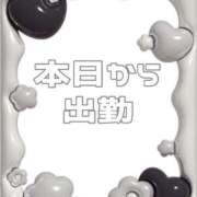ヒメ日記 2025/05/29 06:50 投稿 あおい【高山出発】 Cat's高山店