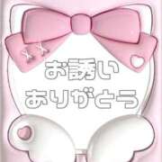 ヒメ日記 2025/05/29 15:10 投稿 あおい【高山出発】 Cat's高山店