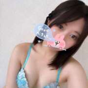 ヒメ日記 2025/05/30 16:10 投稿 あおい【高山出発】 Cat's高山店