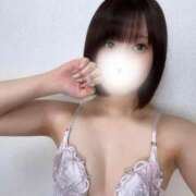 ヒメ日記 2025/05/31 18:19 投稿 あおい【高山出発】 Cat's高山店