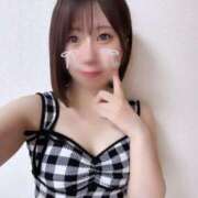 ヒメ日記 2025/06/03 12:59 投稿 あおい【高山出発】 Cat's高山店