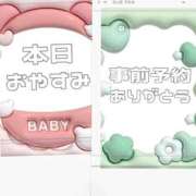 ヒメ日記 2025/06/04 08:19 投稿 あおい【高山出発】 Cat's高山店