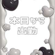 ヒメ日記 2025/06/07 08:39 投稿 あおい【高山出発】 Cat's高山店