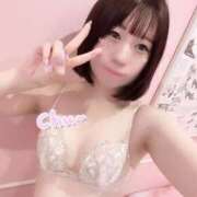 ヒメ日記 2025/06/07 18:19 投稿 あおい【高山出発】 Cat's高山店