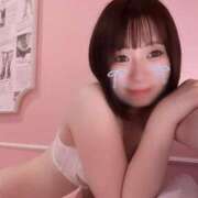 ヒメ日記 2025/06/13 07:59 投稿 あおい【高山出発】 Cat's高山店