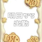 ヒメ日記 2025/06/21 10:49 投稿 あおい【高山出発】 Cat's高山店