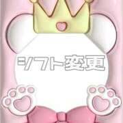 ヒメ日記 2025/06/23 11:39 投稿 あおい【高山出発】 Cat's高山店