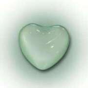 ヒメ日記 2025/06/29 22:09 投稿 あおい【高山出発】 Cat's高山店