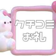 ヒメ日記 2025/07/06 14:09 投稿 あおい【高山出発】 Cat's高山店