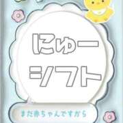 ヒメ日記 2025/07/16 21:39 投稿 あおい【高山出発】 Cat's高山店