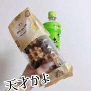 ヒメ日記 2025/07/25 20:39 投稿 あおい【高山出発】 Cat's高山店