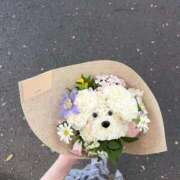 ヒメ日記 2025/08/03 18:30 投稿 あおい【高山出発】 Cat's高山店