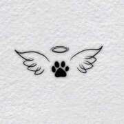 ヒメ日記 2025/08/05 15:29 投稿 あおい【高山出発】 Cat's高山店