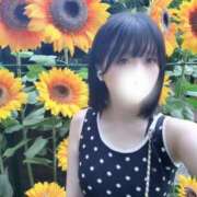 ヒメ日記 2025/08/22 10:39 投稿 あおい【高山出発】 Cat's高山店