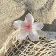 ヒメ日記 2025/09/09 17:59 投稿 あおい【高山出発】 Cat's高山店