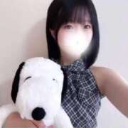 ヒメ日記 2025/09/16 10:39 投稿 あおい【高山出発】 Cat's高山店