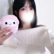 ヒメ日記 2025/09/19 10:39 投稿 あおい【高山出発】 Cat's高山店