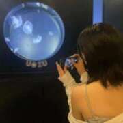 ヒメ日記 2025/09/23 09:29 投稿 あおい【高山出発】 Cat's高山店