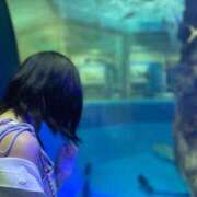 ヒメ日記 2025/09/28 11:29 投稿 あおい【高山出発】 Cat's高山店