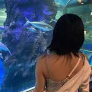 ヒメ日記 2025/10/07 18:09 投稿 あおい【高山出発】 Cat's高山店