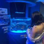 ヒメ日記 2025/10/12 18:49 投稿 あおい【高山出発】 Cat's高山店