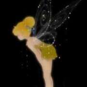 ヒメ日記 2025/10/19 08:59 投稿 あおい【高山出発】 Cat's高山店