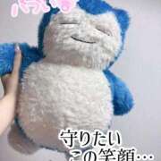 ヒメ日記 2025/10/19 16:59 投稿 あおい【高山出発】 Cat's高山店