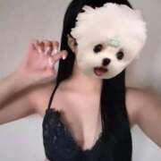 ヒメ日記 2025/10/24 17:29 投稿 あおい【高山出発】 Cat's高山店