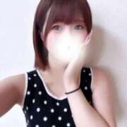 ヒメ日記 2025/11/05 08:19 投稿 あおい【高山出発】 Cat's高山店