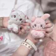 ヒメ日記 2025/11/09 19:19 投稿 あおい【高山出発】 Cat's高山店