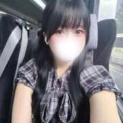 ヒメ日記 2025/11/10 07:29 投稿 あおい【高山出発】 Cat's高山店