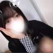 ヒメ日記 2025/11/13 11:59 投稿 あおい【高山出発】 Cat's高山店