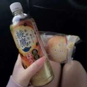 ヒメ日記 2025/11/26 16:59 投稿 あおい【高山出発】 Cat's高山店