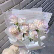 ヒメ日記 2025/11/27 09:29 投稿 あおい【高山出発】 Cat's高山店