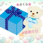 ヒメ日記 2025/03/15 11:28 投稿 森　さくら Eureka！EGOIST～エゴイスト～-美とエロスの饗宴