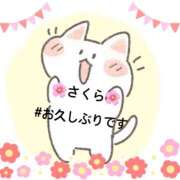 ヒメ日記 2025/05/02 14:20 投稿 森　さくら Eureka！EGOIST～エゴイスト～-美とエロスの饗宴