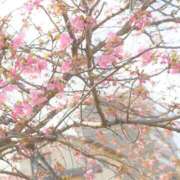 ヒメ日記 2025/03/21 12:51 投稿 みはや X-PARTY