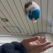 ヒメ日記 2026/03/10 00:31 投稿 みはや X-PARTY